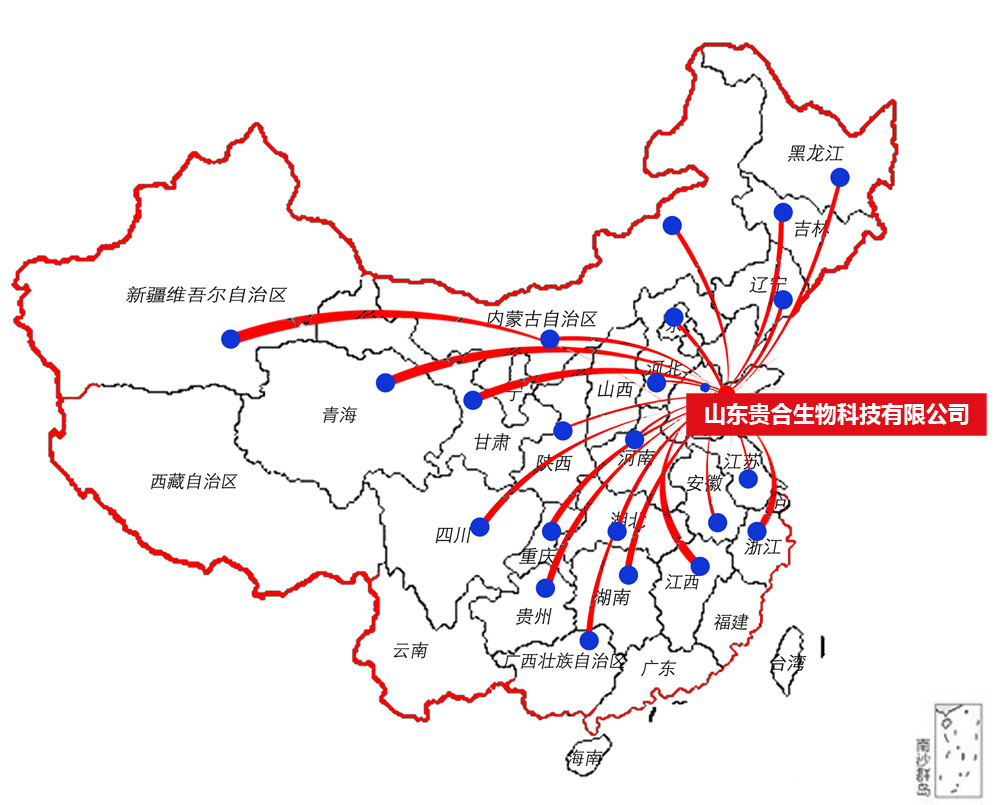 營(yíng)銷網(wǎng)絡(luò)